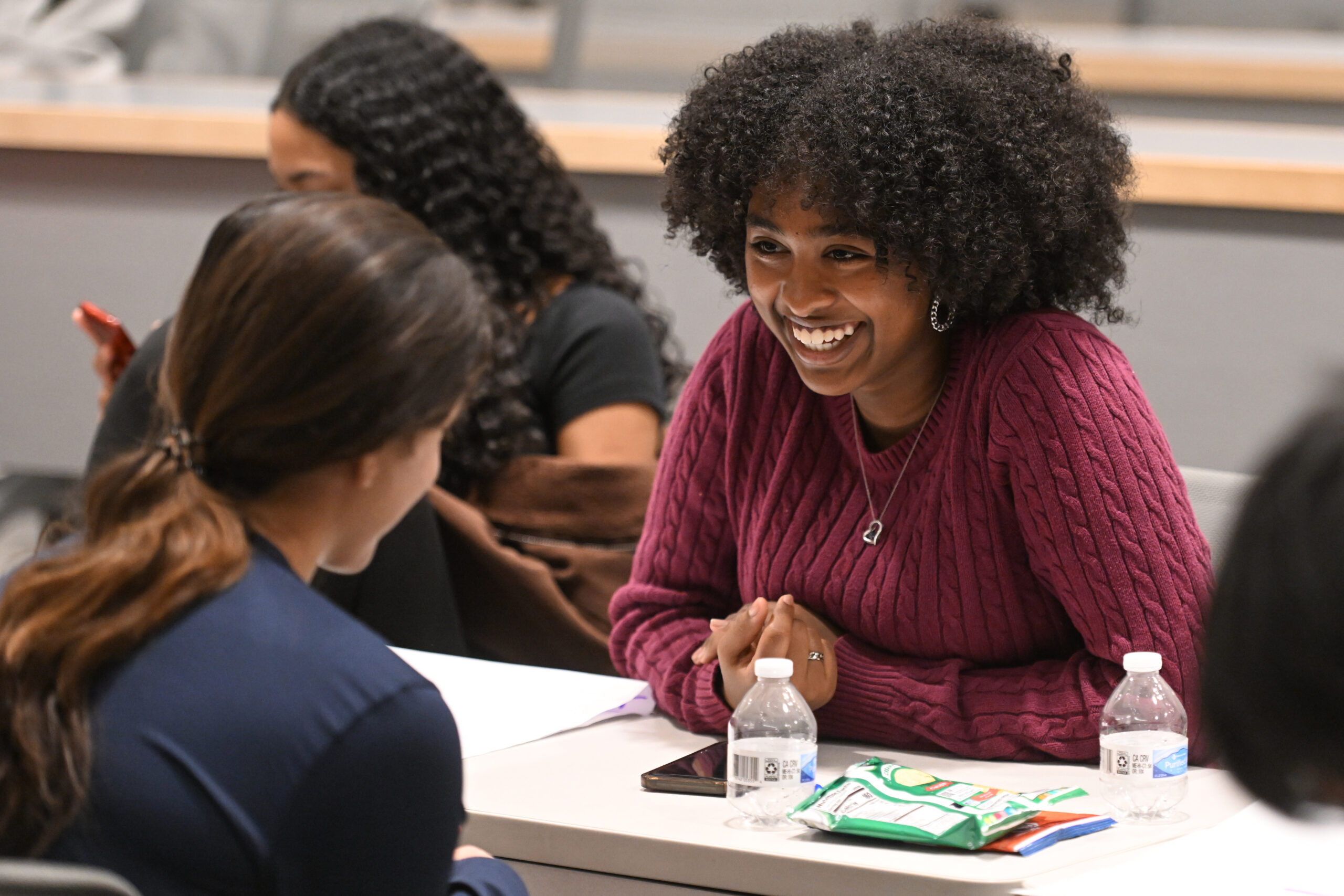 BAE (Balance – Accountability – Emotional-Regulation) Mental Health and Wellness Workshop